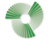 Clinical audit logo